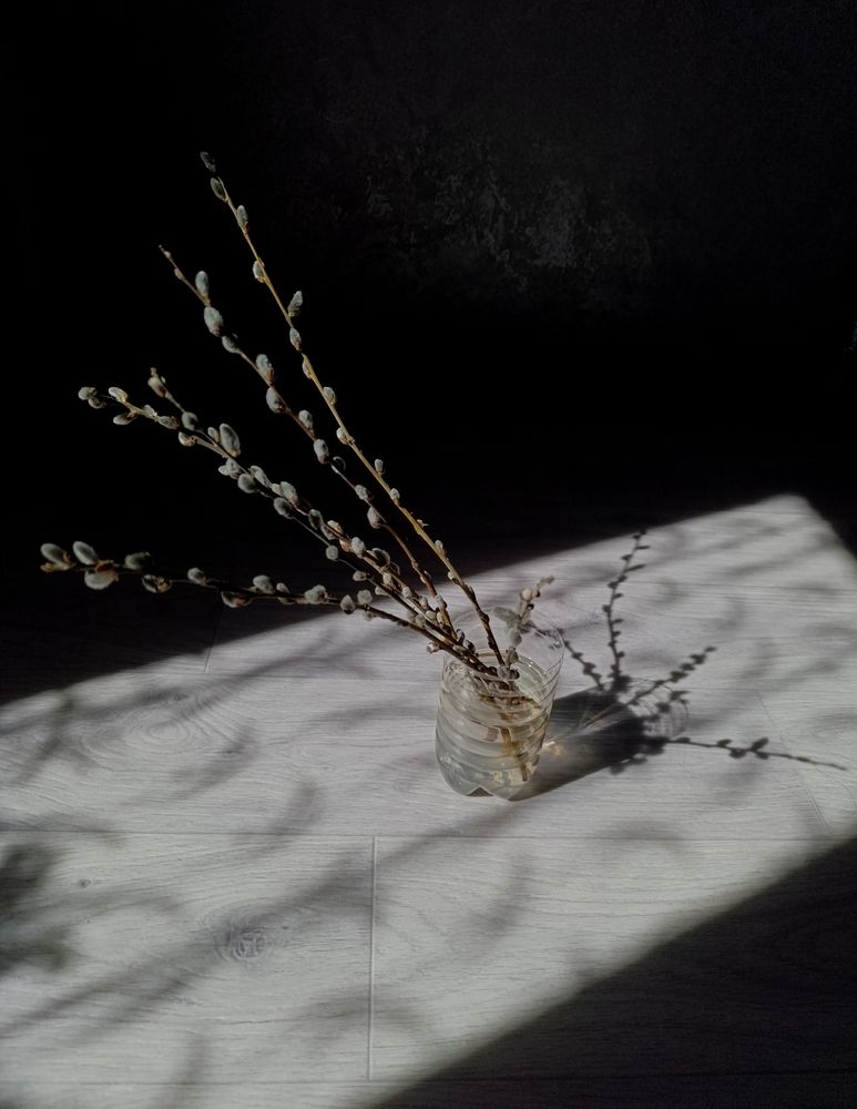 Photograph by Алена Марченко