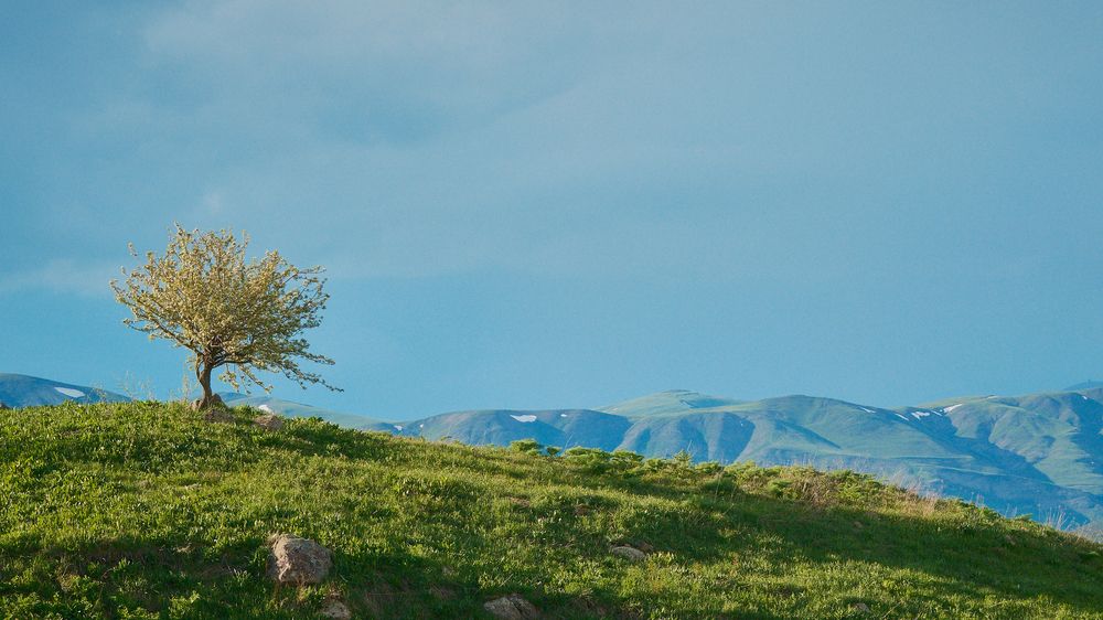 Photograph by Samvel Sargsyan