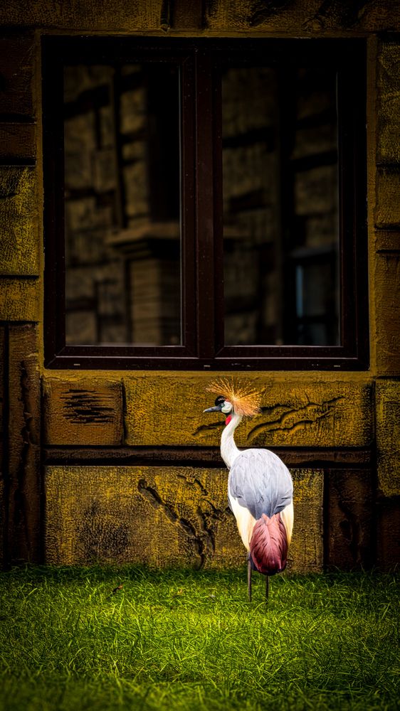Photograph by Lenar Valeev