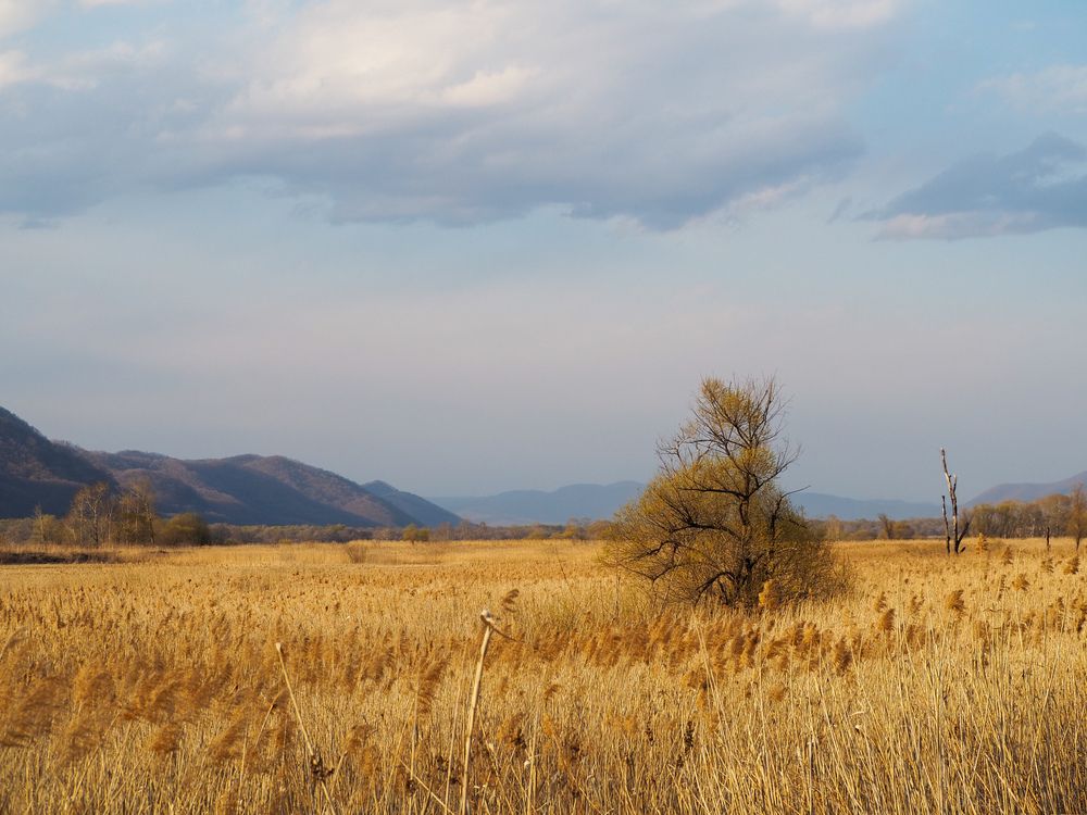 Photograph by Борис Храмцов