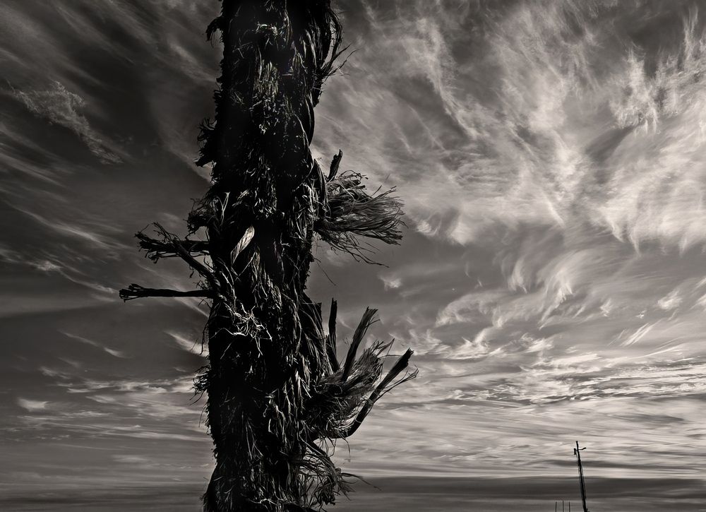 Photograph by Борис Кравецкий