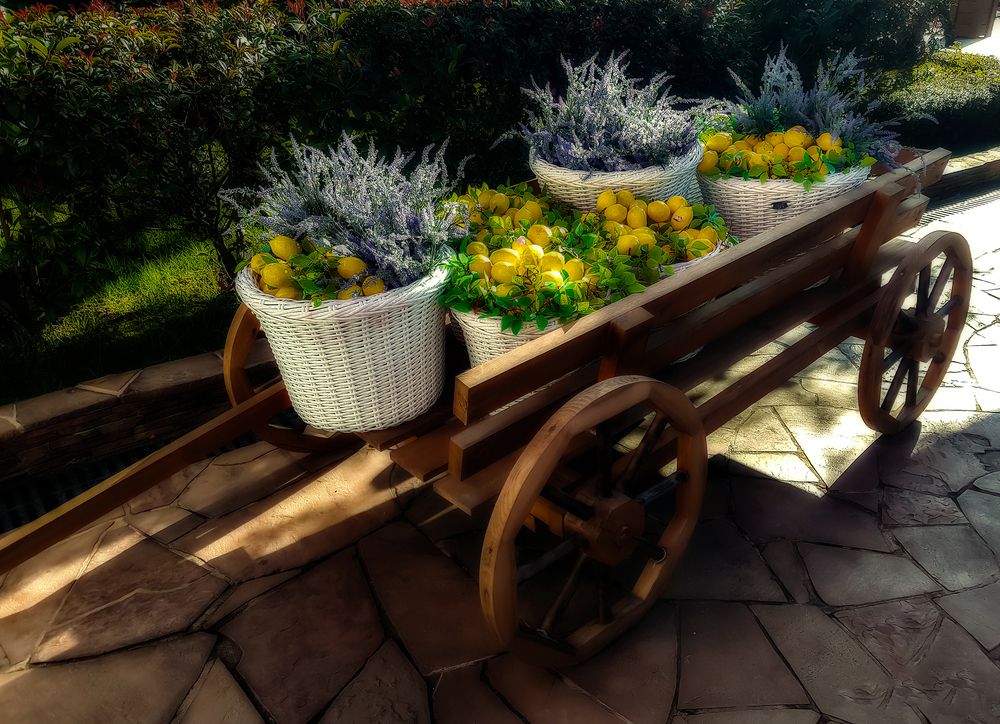 Photograph by arkadii Anufriev