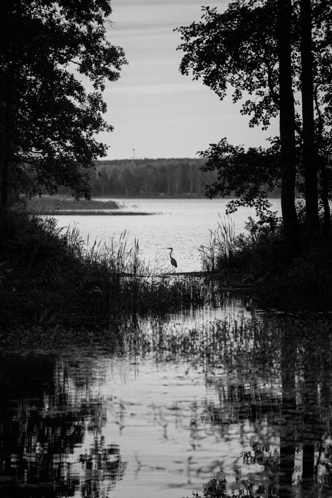 Photograph by Фёдор Баронов