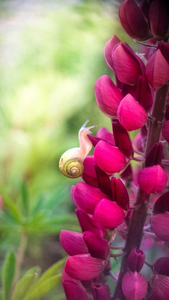 Photograph by Tatiana Kirillova