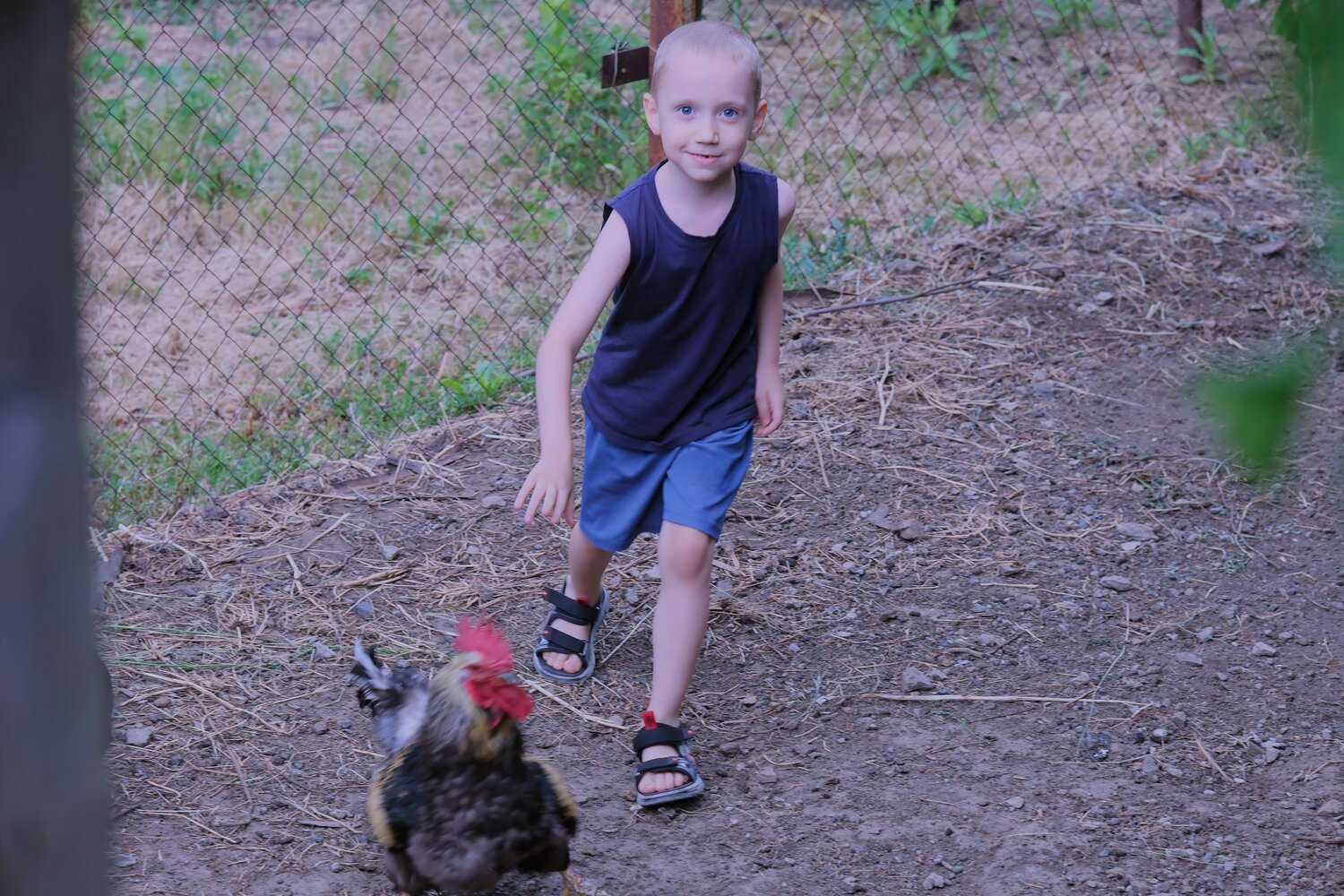 Photo #13681958