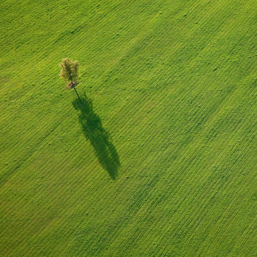 Photograph by Андрей Гринев