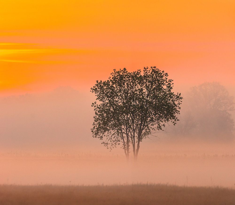 Photograph by Андрей Гринев