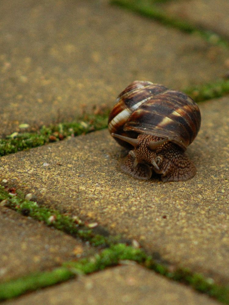 Photograph by Марина Фомичева