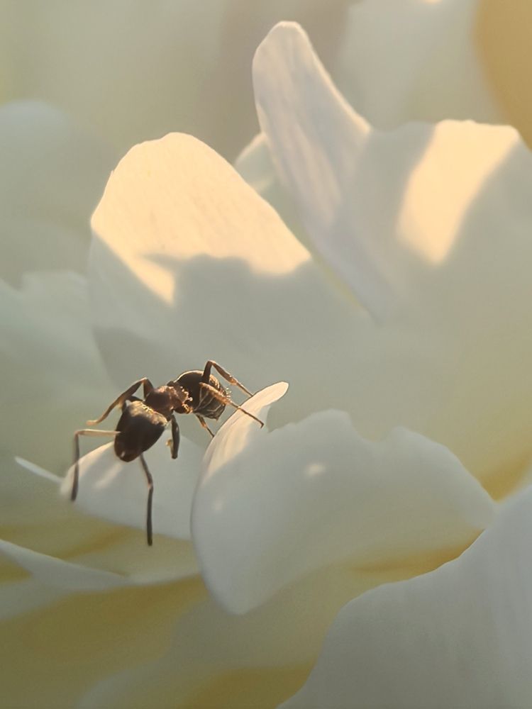 Photograph by Людмила Орловская