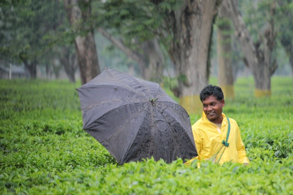 Photograph by Dipu chakraborty