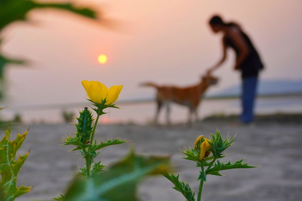 Photograph by Dipu chakraborty