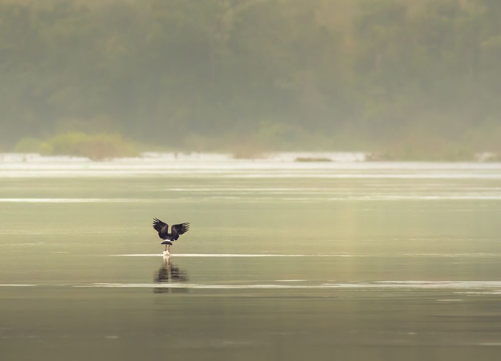 Photograph by Valdir Hobus