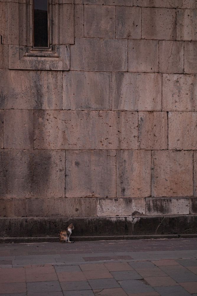 Photograph by Анна Архангельская