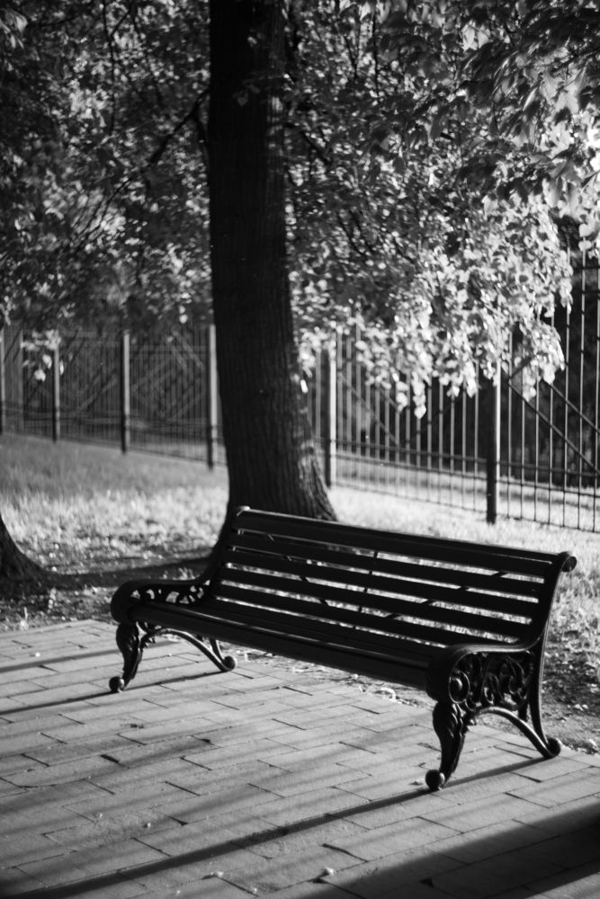 Photograph by Алексей Бузуев