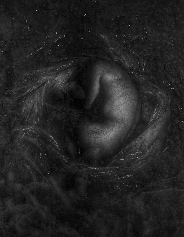 Photograph by Daniel Randýsek