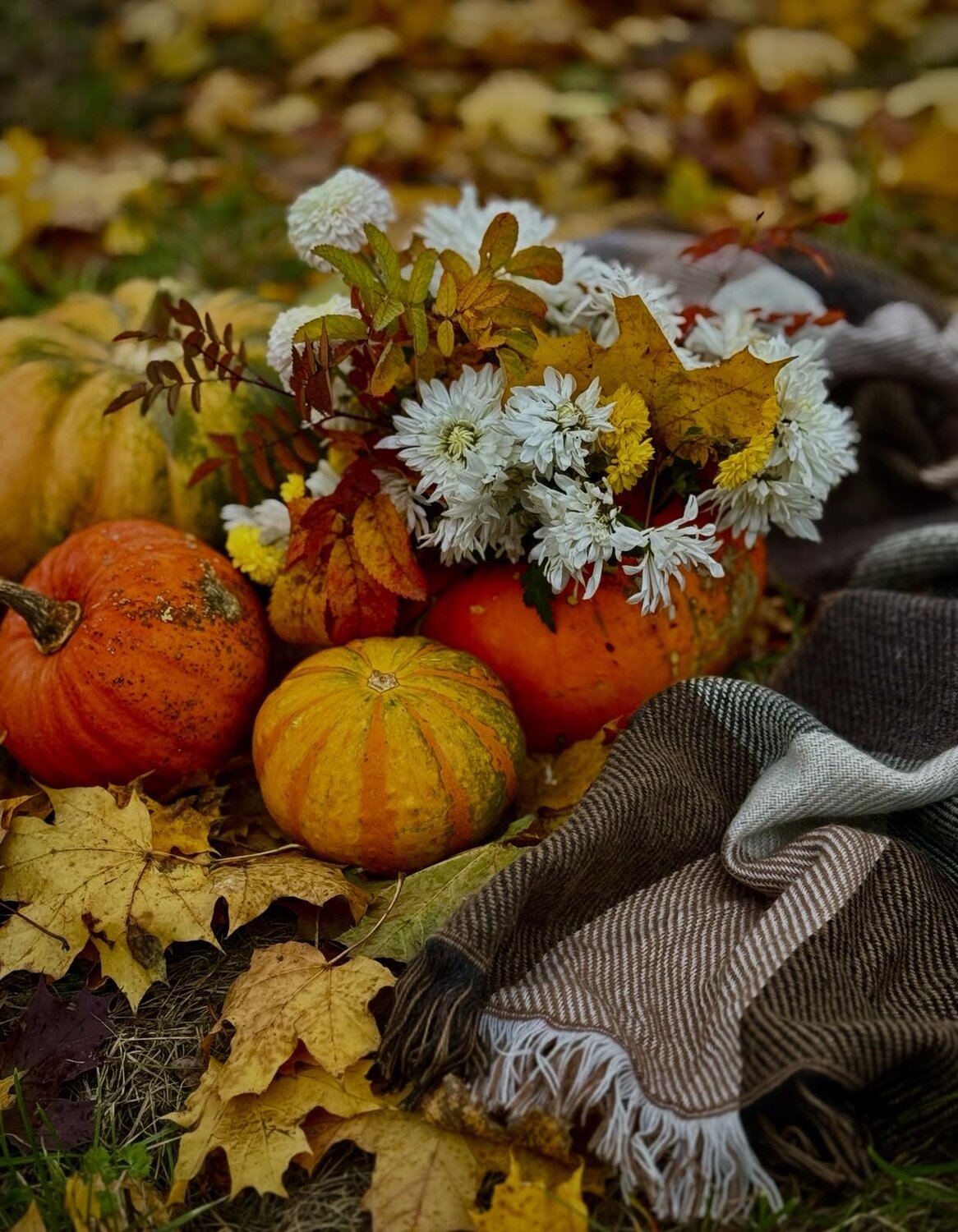 Photo #13682374