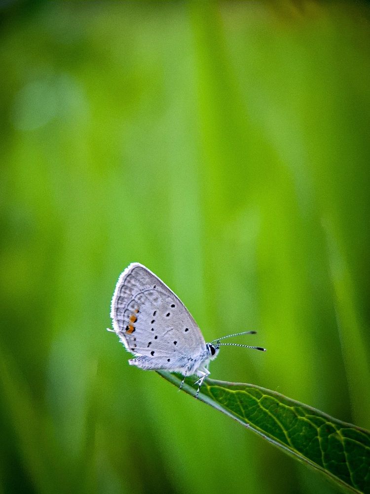 Photograph by Tatiana Kirillova