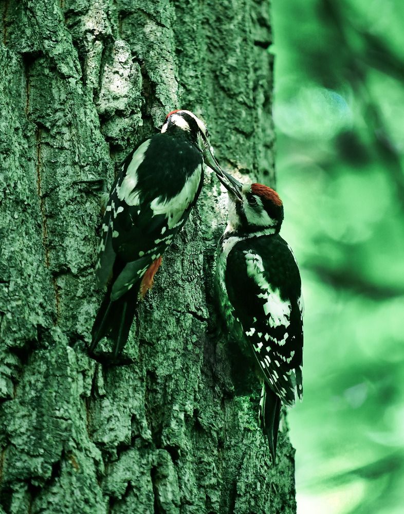 Photograph by Алексей Volg
