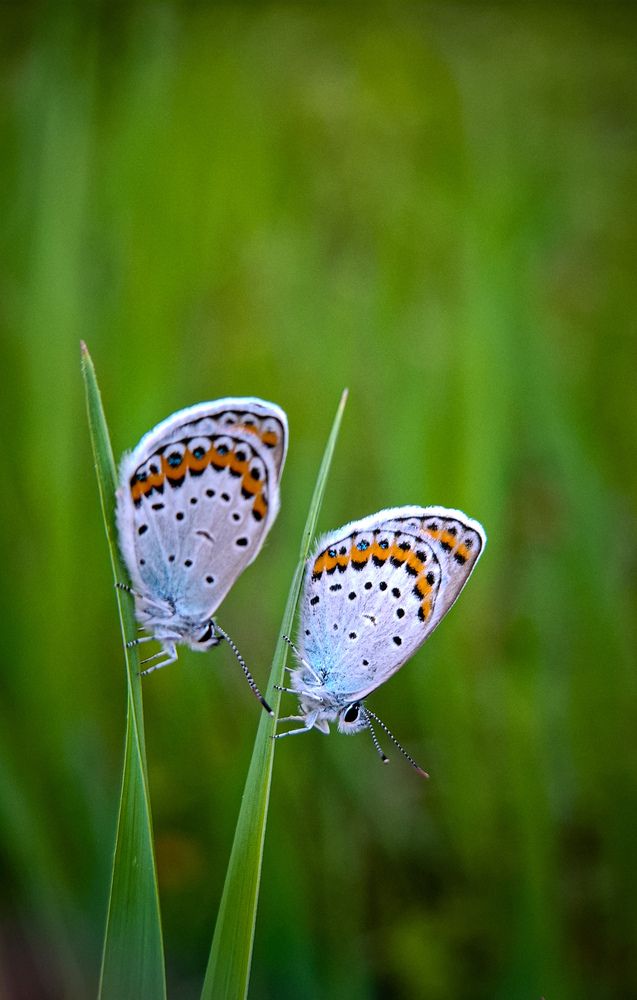 Photograph by Tatiana Kirillova