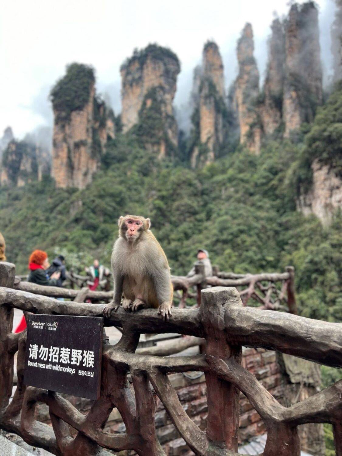 张家界的存在