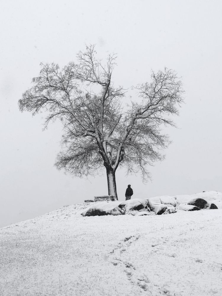 Photograph by Александр Дмитриев