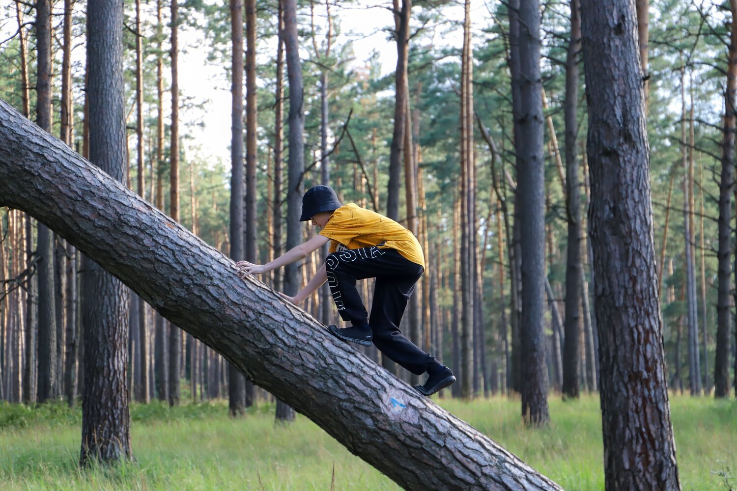 Photo #13682561
