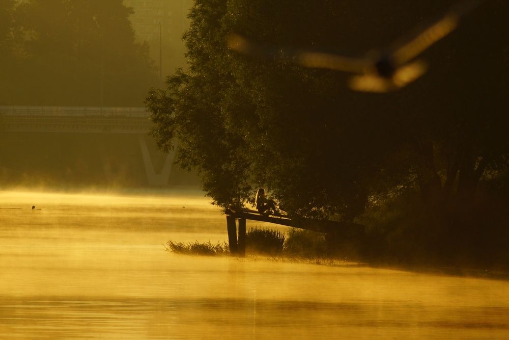 Photograph by Екатерина Яковлевская