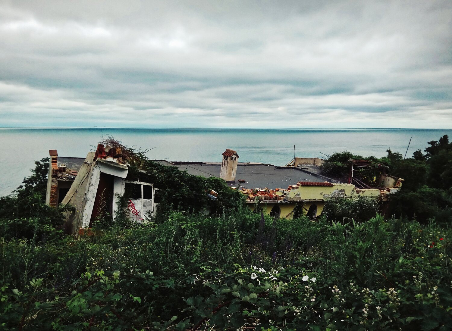 Photo #13682628