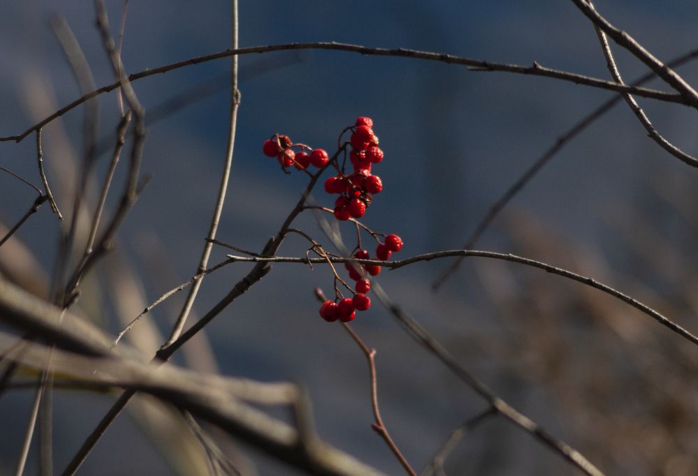 Photograph by Денис Колесников
