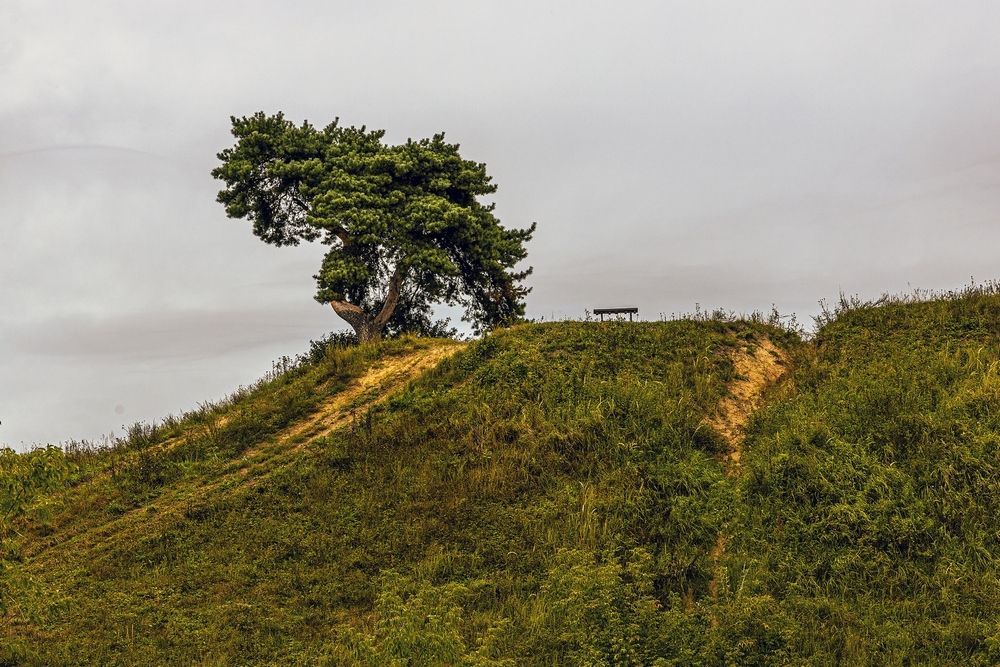 Photograph by Андрей Антонов