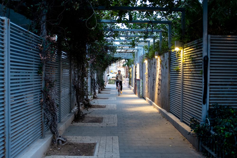 The Evening Way