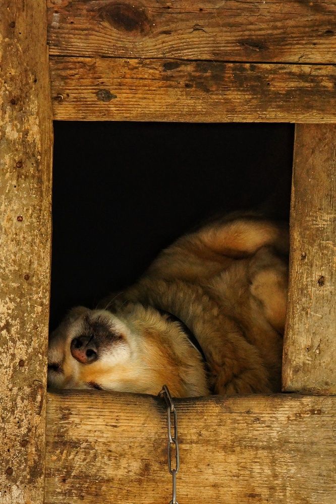 Photograph by Margarita Teterkina