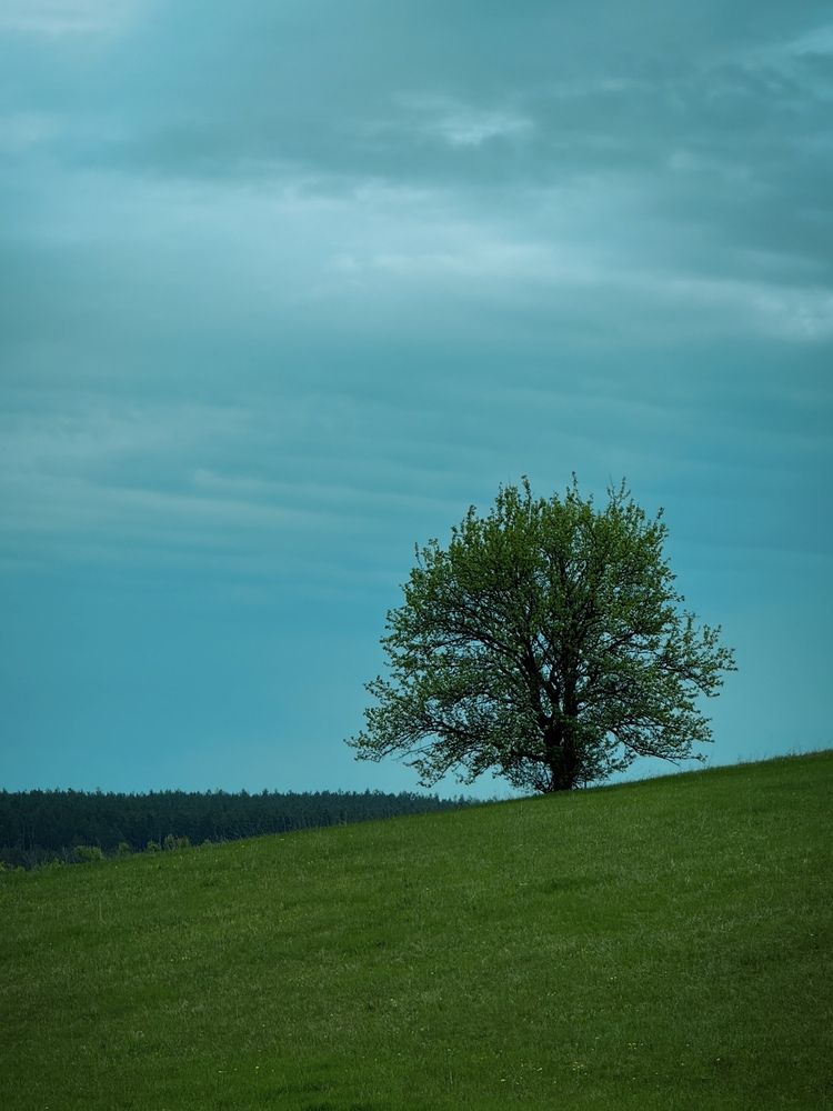 Фотография автора Евгений Фролов