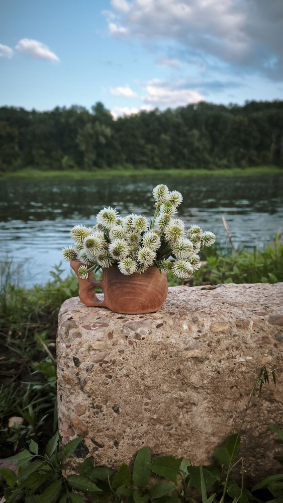 Натюрморт  на берегу реки.