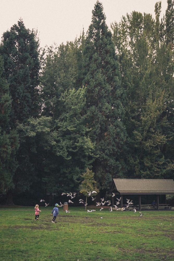 Photograph by Ирина Шауро