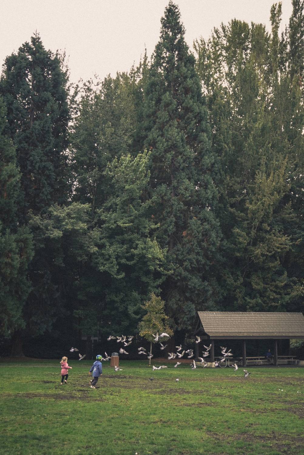 Photo #13683108