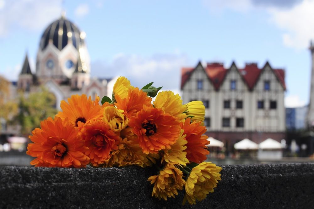 Photograph by Хлопенко Елена Васильевна