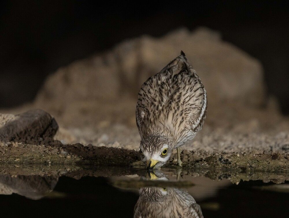 Photograph by klara Neikov