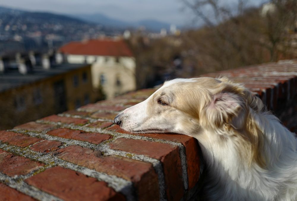 Photograph by Yulia Stepanova
