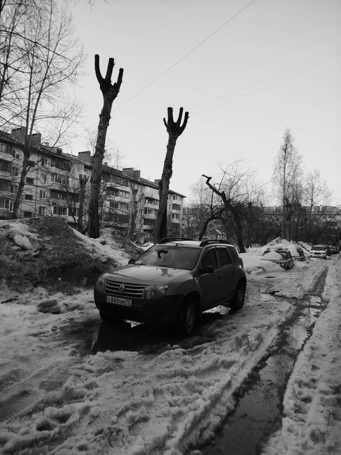 Photo #13683319