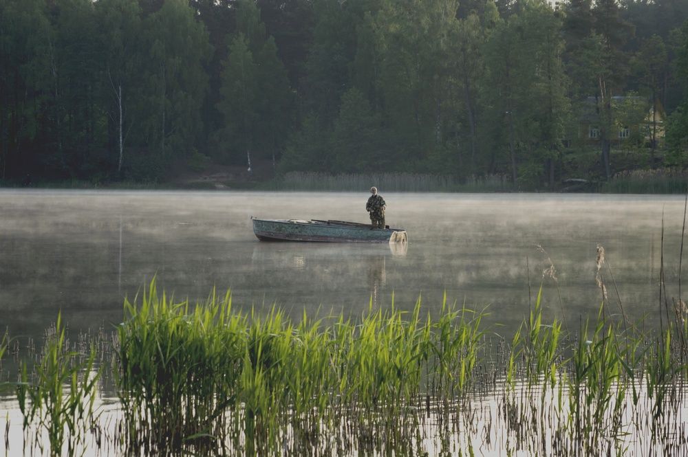 Photograph by Елена Кошелева