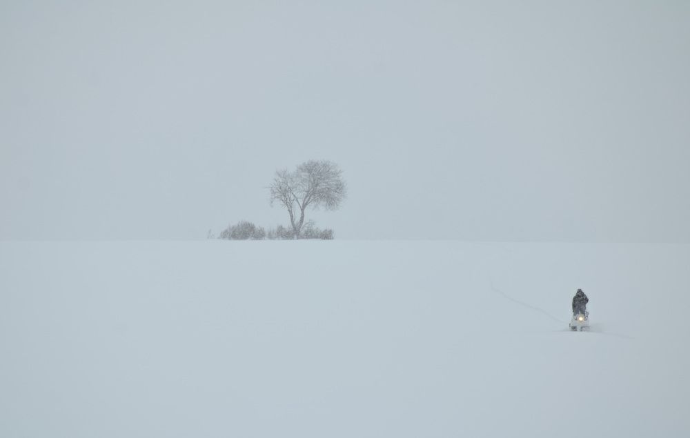 Photo #13683362