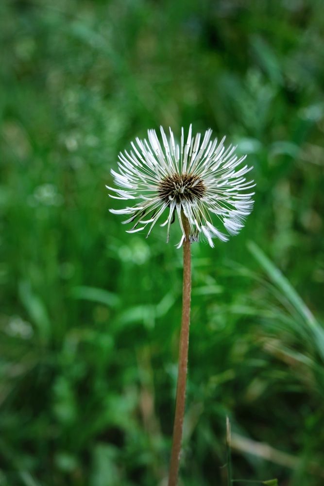 Photograph by Юлия Фёдорова