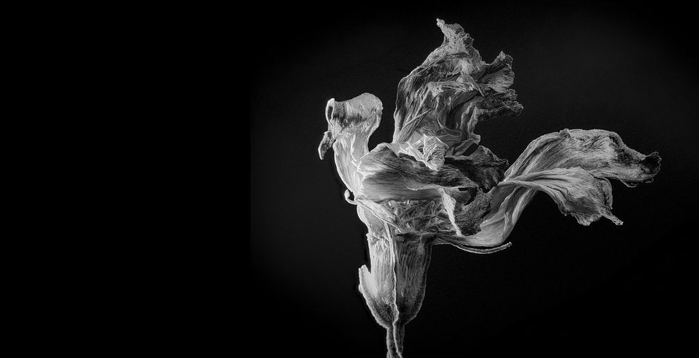 Photograph by Boris Bekelman