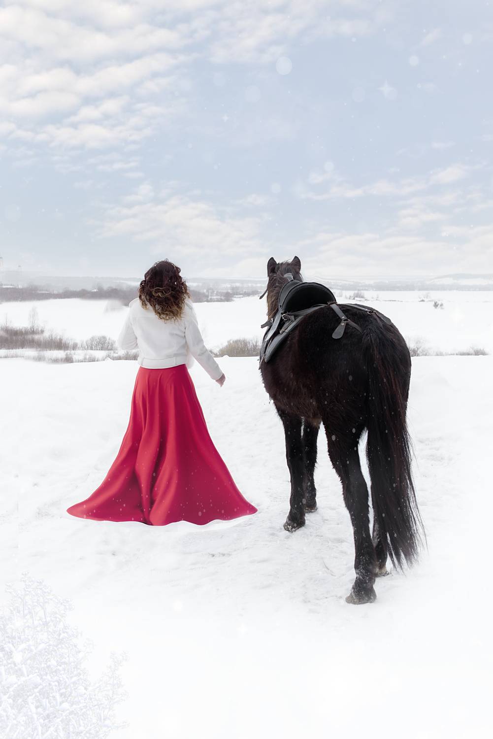 Photo #13683427