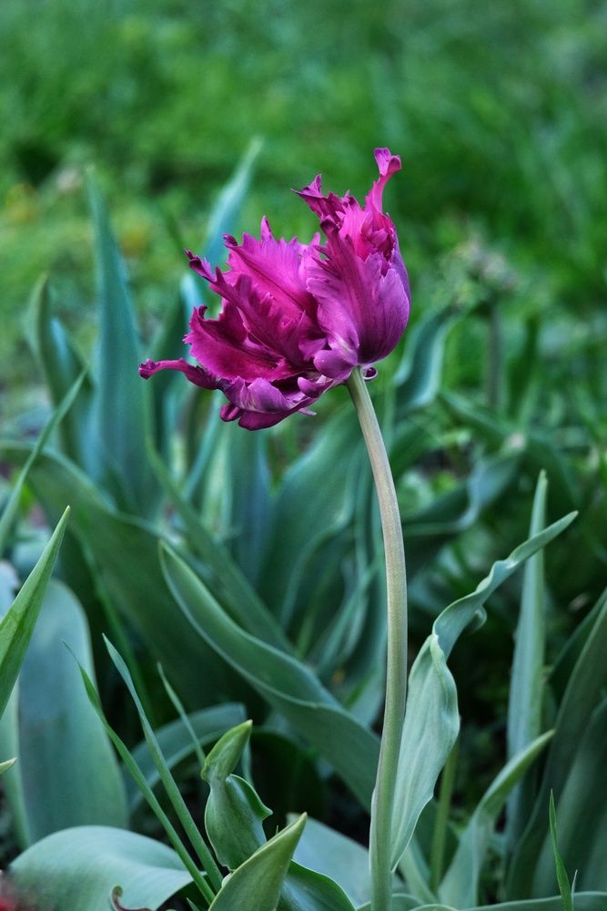 Photograph by Юлия Фёдорова