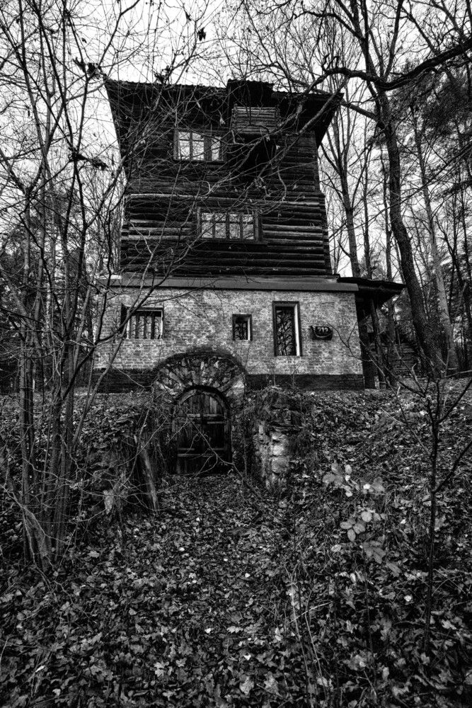 Photograph by Сергей Зорин
