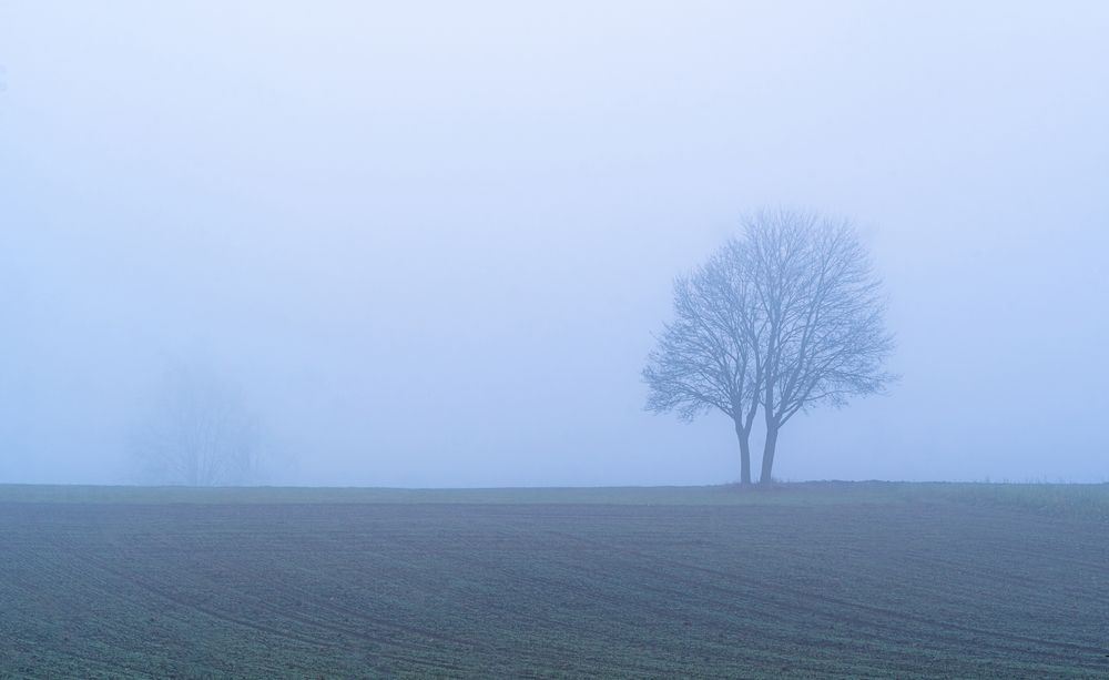 Together in Solitude