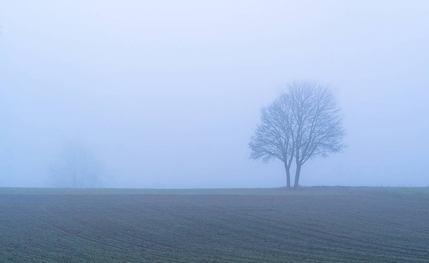 Together in Solitude