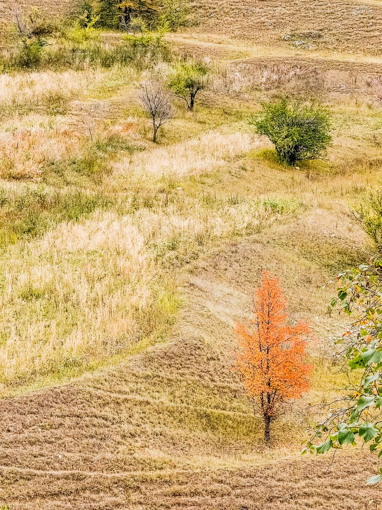 Photograph by Татьяна Раковская
